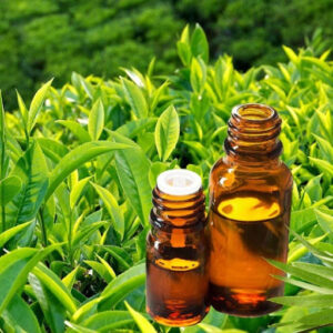 Tinh dầu trà xanh