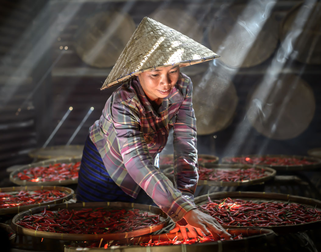 Letranfood là nhà xuất khẩu hàng đầu các sản phẩm thực phẩm Việt Nam, mang đến hương vị phong phú và đa dạng của Việt Nam cho các quốc gia ASEAN và Vương quốc Anh.