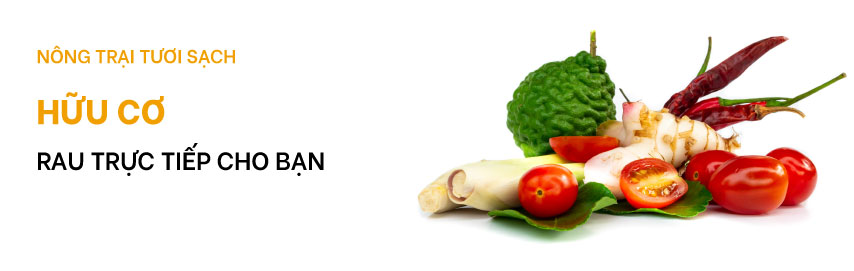 Thực phẩm và đồ uống xuất khẩu