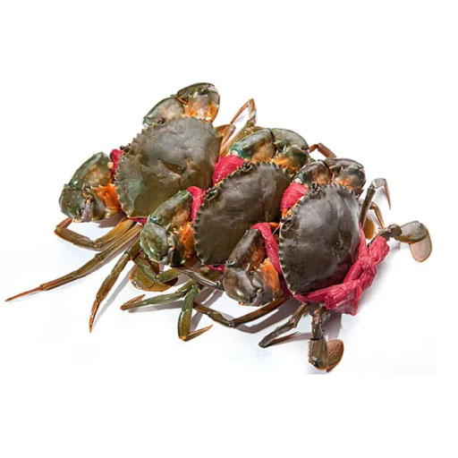 Thực phẩm và đồ uống xuất khẩu