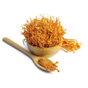 Đông trùng hạ thảo