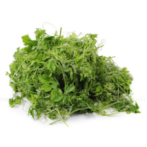 Đọt khổ qua rừng