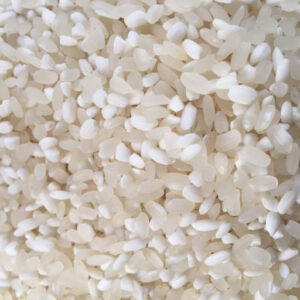 Gạo nếp Tú Lệ