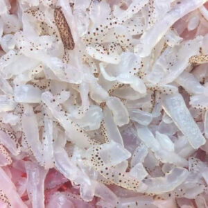 Sứa biển làm sạch