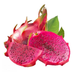 Thực phẩm và đồ uống xuất khẩu