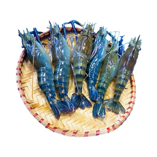 Thực phẩm và đồ uống xuất khẩu