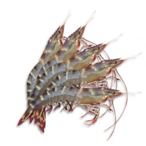 Thực phẩm và đồ uống xuất khẩu