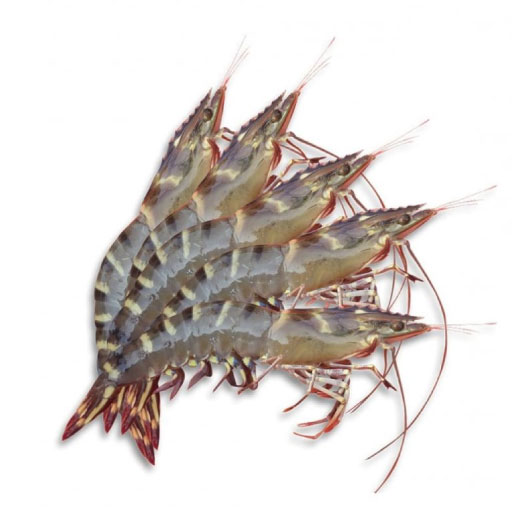 Thực phẩm và đồ uống xuất khẩu