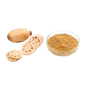 Bột củ sen