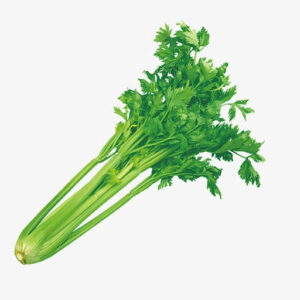 Rau cần tây