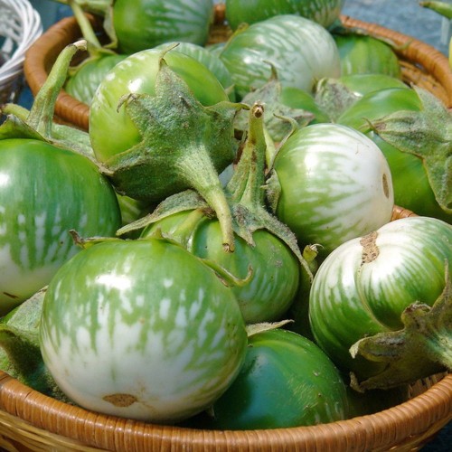 Cà đắng