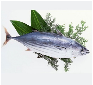 TuNa - Image 2