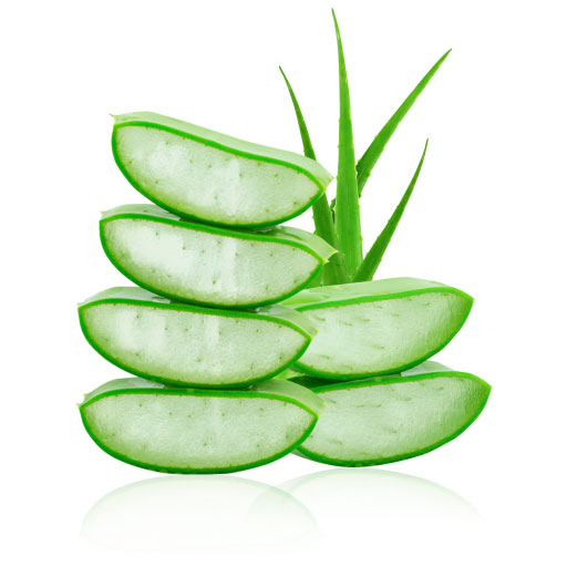 Thực phẩm và đồ uống xuất khẩu