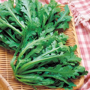 Cải Cúc - Image 4