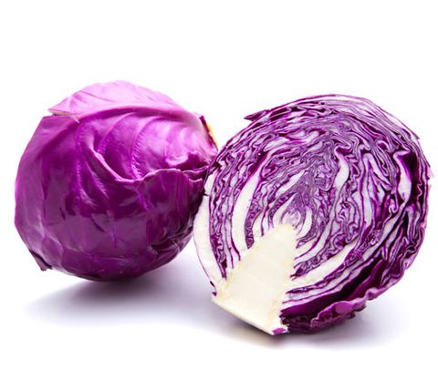 Bắp cải tím