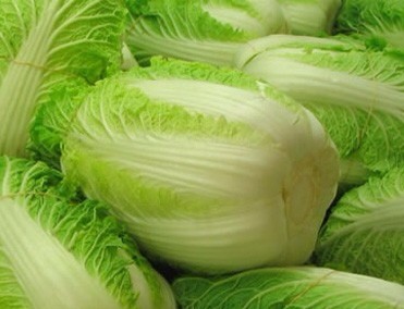Cải Thảo - Image 2