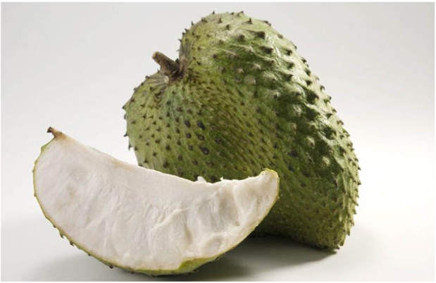 Mảng Cầu Xiêm