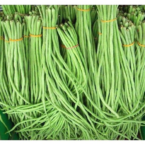 Đậu đũa - Image 2