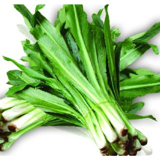 Rau ngò gai
