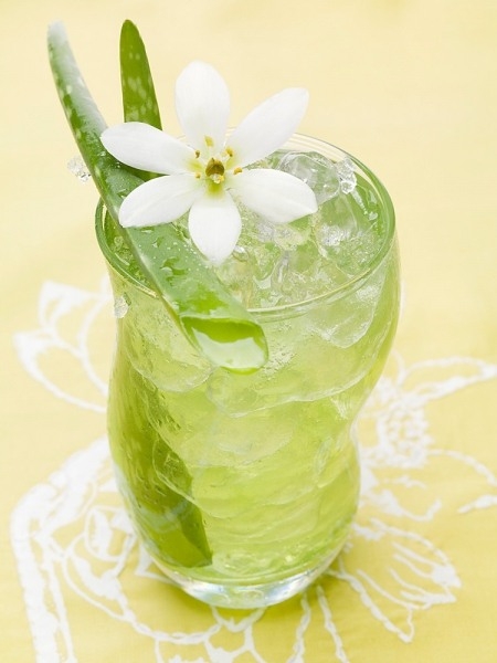 Nha đam - Image 3