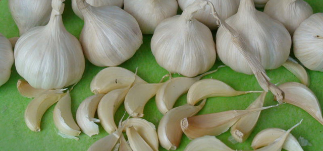 Tỏi Lý Sơn - Image 2