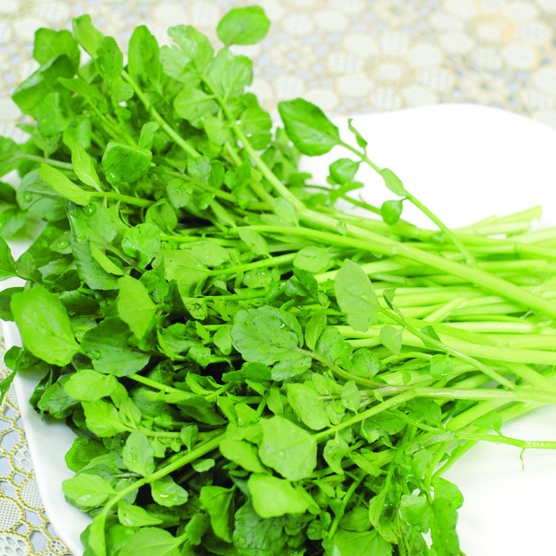 Xà Lách Xoong - Image 2