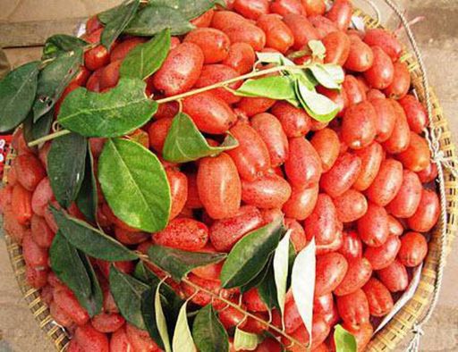 Quả nhót - Image 3