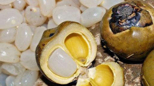 Hạt đác