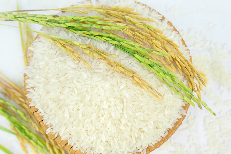 Gạo tám thơm - Image 3