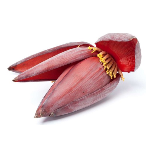 Hoa chuối