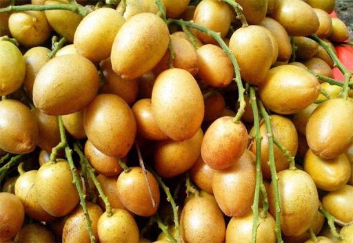 Hồng bì