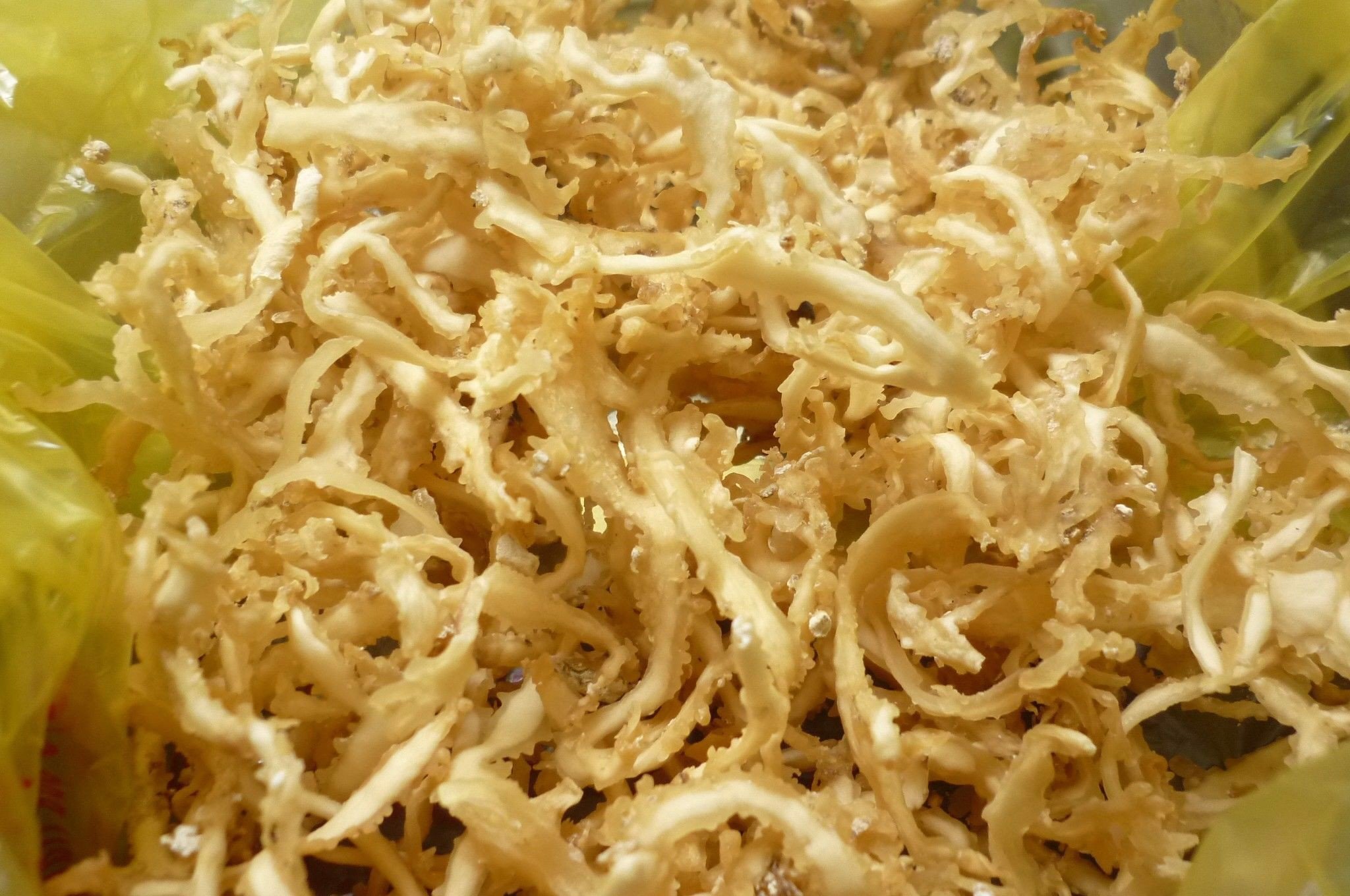 Rong sụn - Image 2