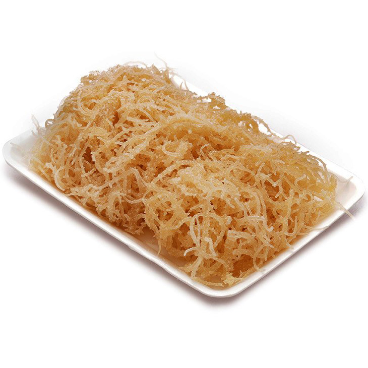 Rong sụn