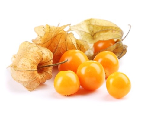 Trái tầm bóp