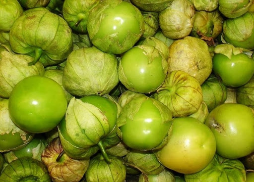 Trái tầm bóp - Image 2