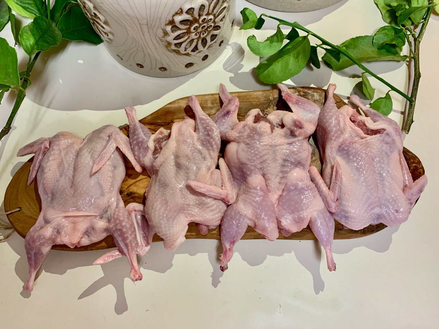 Thịt chim cút
