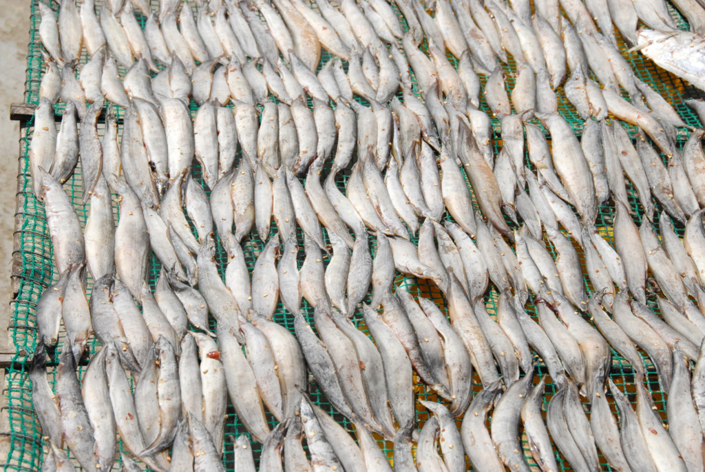 Khô cá chạch - Image 4