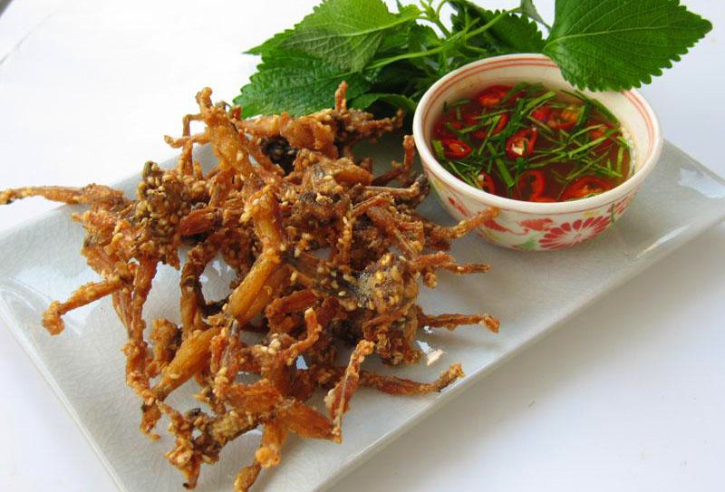 Khô nhái - Image 4