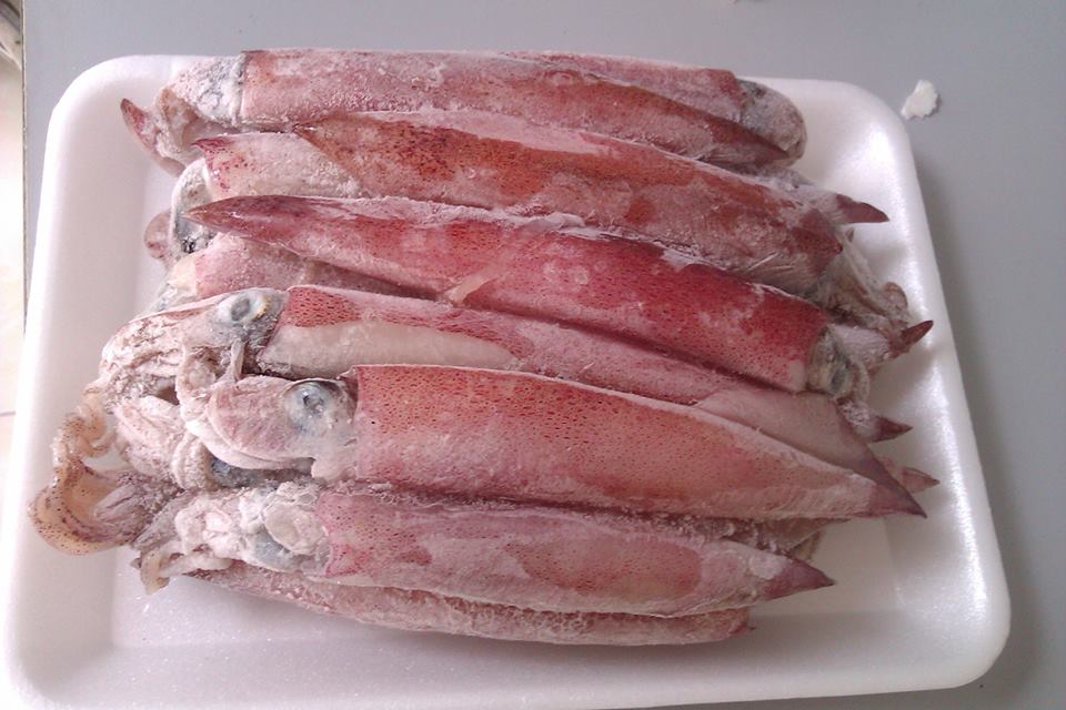 Mực trứng