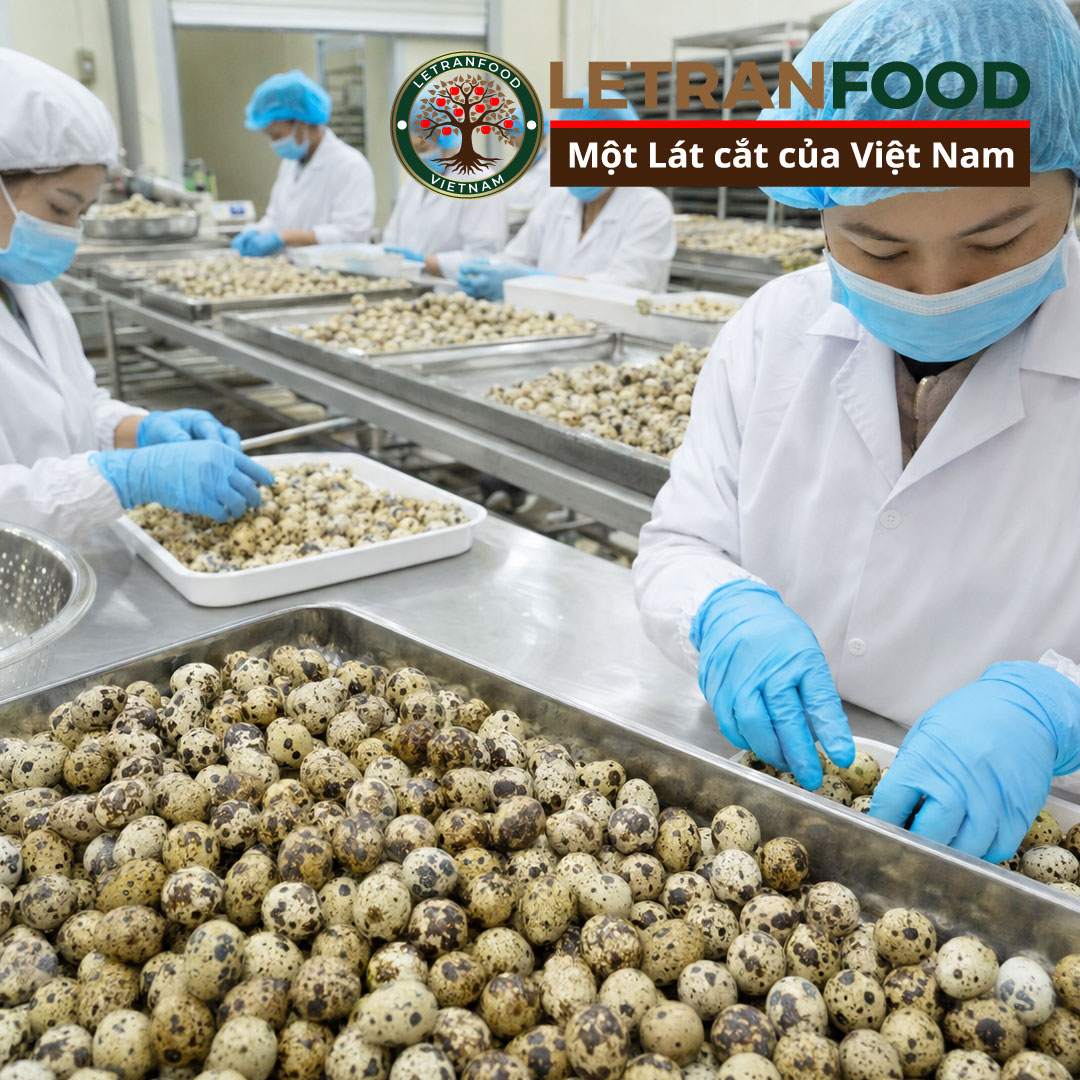 Sắn lát khô được trưng bày, phơi nắng tự nhiên, chế biến công nghiệp và sử dụng trong món sắn nấu truyền thống.