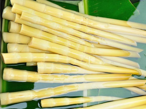 Măng sặt